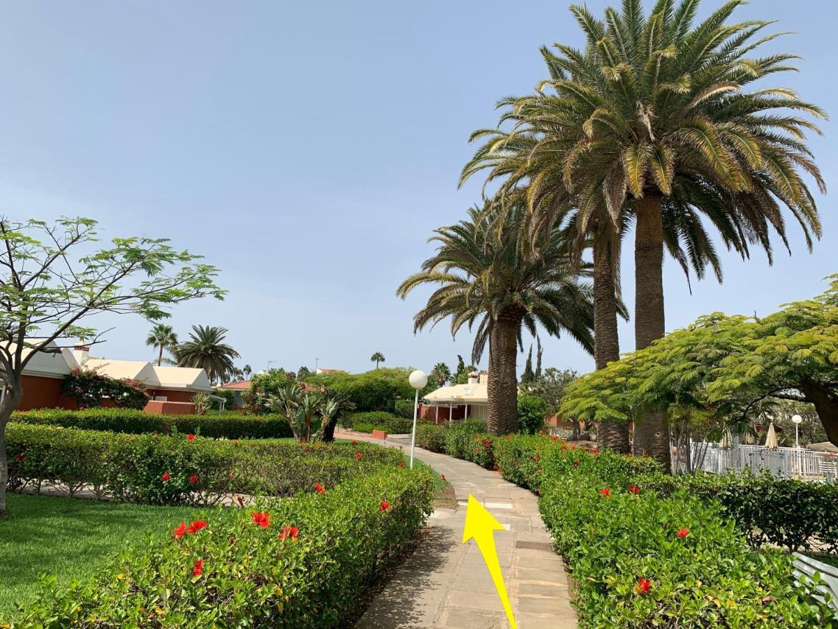 Flamboyant Tree Garden Holiday Home Maspalomas  Eksteriør billede
